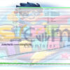 Super Tenet EA MT5 Backtest