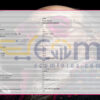 Superior Trader EA MT5 Input
