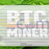 BitCoin MinerX EA MT5 Input