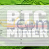BitCoin MinerX EA MT5 Inputs