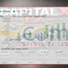 CAPITAL X EA MT5 Live Signal MyfxBook