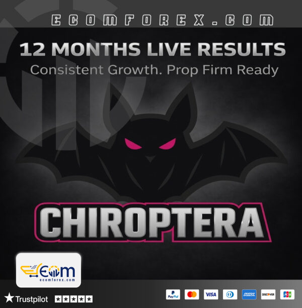 Chiroptera MT5