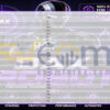 DAX Robot MT5 Inputs