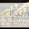 EA Scalper FX Gold MT5 Input