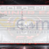 GOLD-PIP MINER EA MT4 Inputs