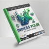 Indices Pulse EA MT5