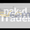 Naked Trader by Capitarc EA MT5 Input