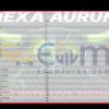 Nexa Aurum EA Input