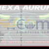 Nexa Aurum EA MT5 Inputs