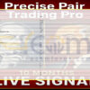 Precise Pair Trading Pro EA MT5 Inputs