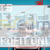 Profit Only MT5 Backtest Result