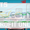 Profit Only MT5 Backtests Result