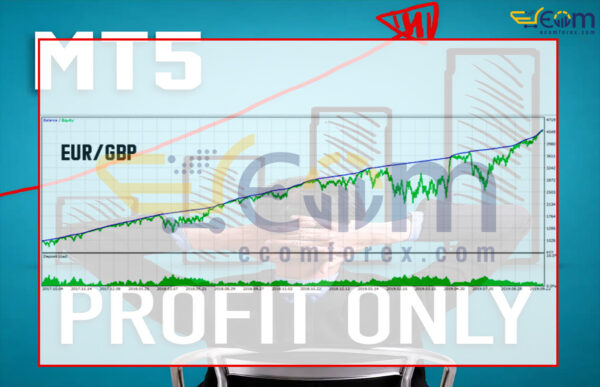 Profit Only MT5 Backtests Result