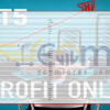 Profit Only MT5 Input