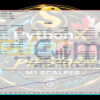PythonX PipStorm USDCAD EA MT5 Backtests Result