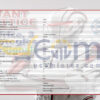 Quant Lattice EA MT5 Inputs