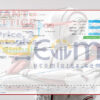 Quant Lattice EA MT5 Live Result