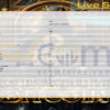 Quantum Bitcoin EA MT5 Inputs