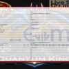 Quantum King EA MT5 Inputs