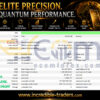Quantum OmniGold MT5 Backtests