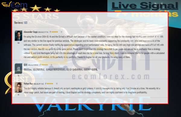 Quantum Valkyrie MT5 Review