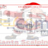 Santa Scalping MT5 Backtests