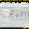 Scalp Adapt PRO EA MT5 Input