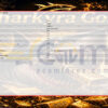 Sharkyra Gold MT5 Inputs