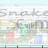 Snake EURUSD EA MT5 Input