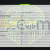 Spartan Gold Sniper AI EA MT5 Input