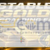 Stable Gold Scalping EA MT5 Inputs