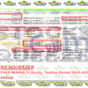 Stocks Squeezer EA Result