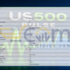 US500 Pulse EA MT5 Input