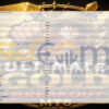 Ultimate Gold Breakout EA Input