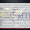 Velora MT5 Input