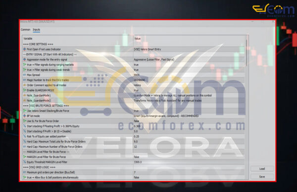 Velora MT5 Input