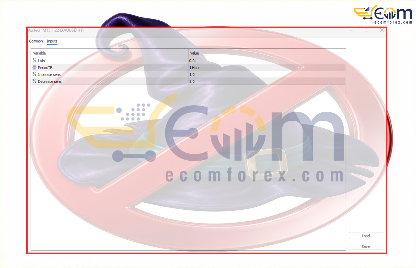 VorTech MT5 Input