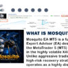 What is Mosquito EA MT5