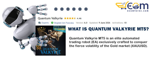 What is Quantum Valkyrie MT5