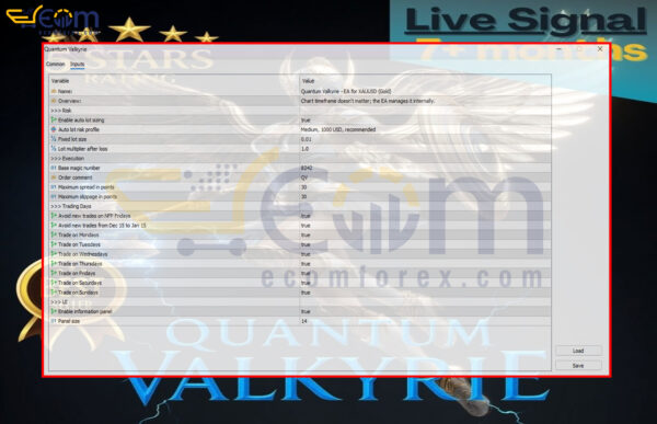 What is Quantum Valkyrie MT5 Inputs