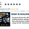 What is Scalping Robot Pro MT5