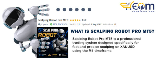 What is Scalping Robot Pro MT5
