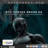 BTC Vortex Nexus EA MT5