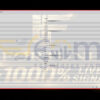 Fortune MT5 Inputs