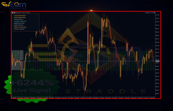 Straddle EA MT5 Review