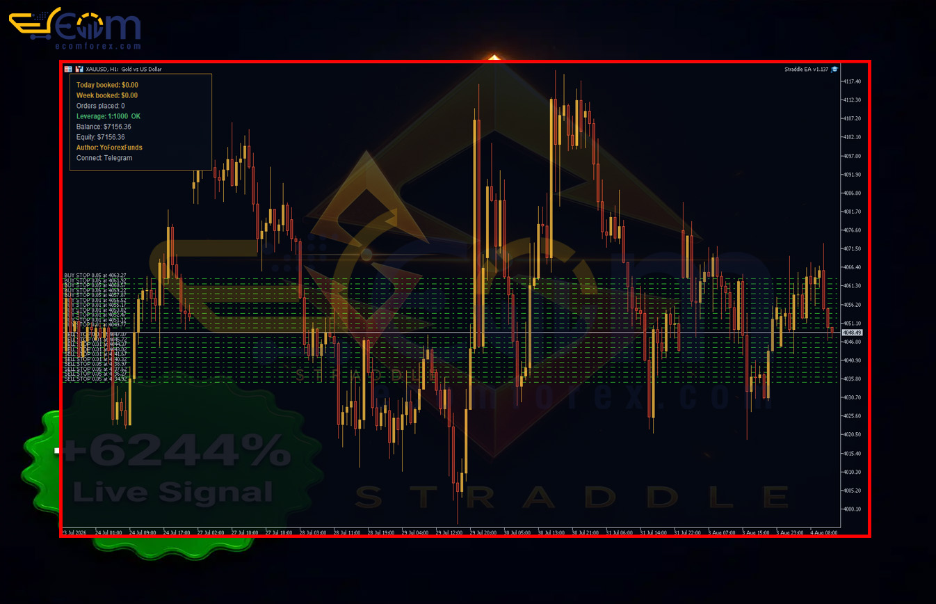 Straddle EA MT5 Review