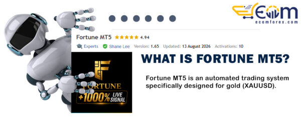 What is Fortune MT5