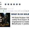 What is H4 Gold Scalper EA MT5