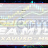 FOREX FUGE EA MT5 Inputs