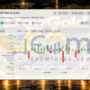 DowGold EA MT5 Signal MyFxBook 50K$